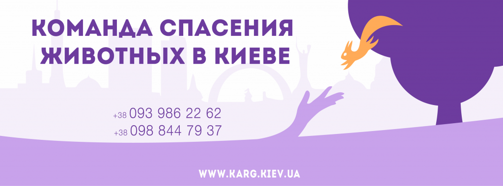 KARG итоги 2014 года