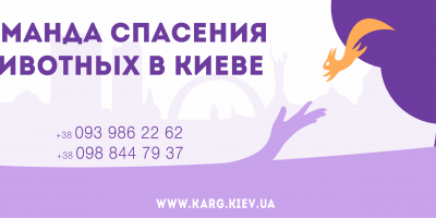 KARG итоги 2014 года