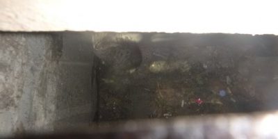 Спасение кота из ливневой канализации